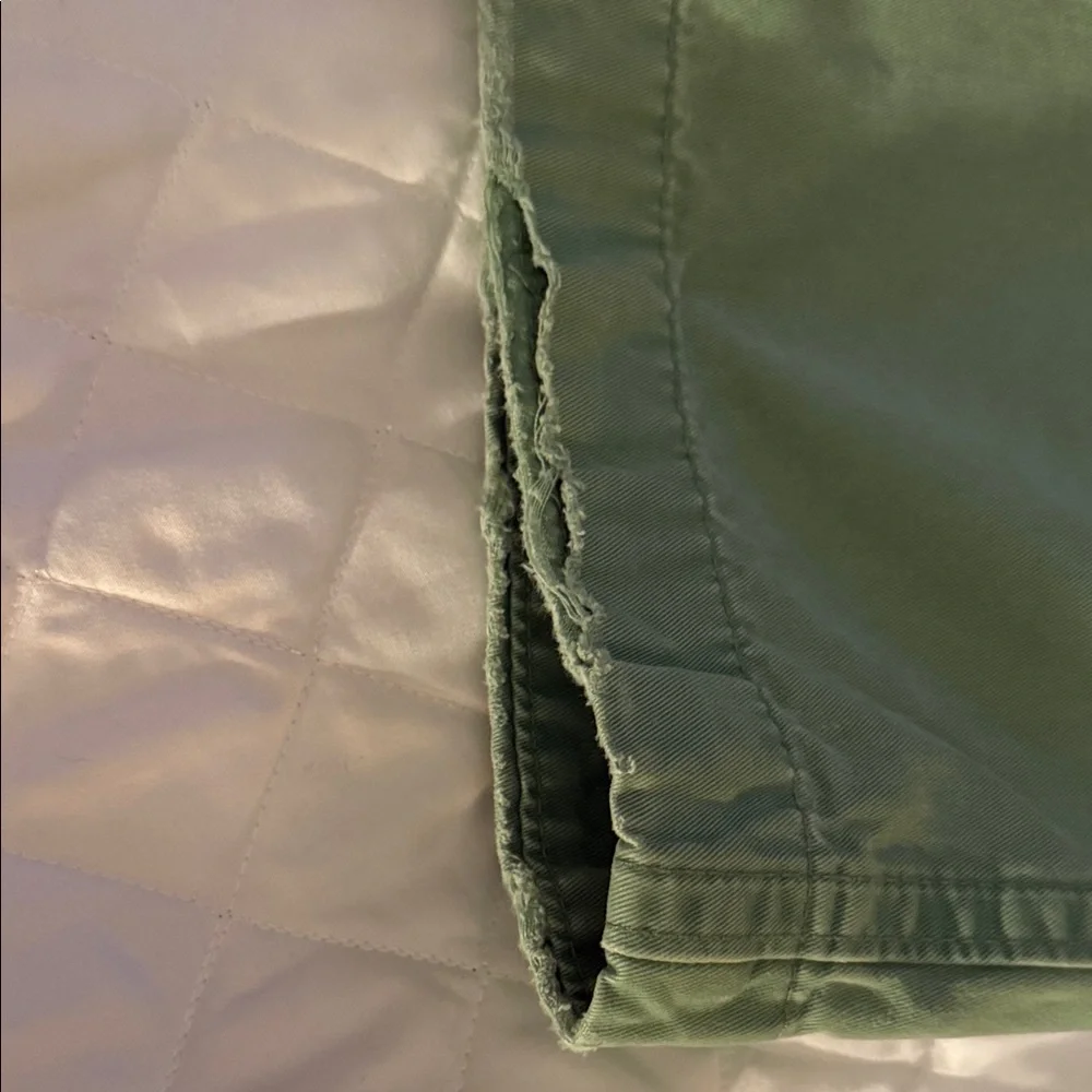 Abercrombie & Fitch Mint Green Men's Flat Front Shorts - Picture 7 of 9
